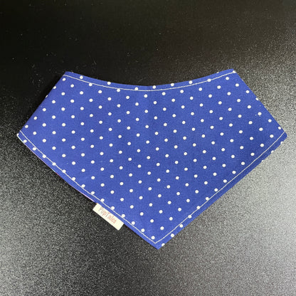 Birthday Cake/Polka Dots #104