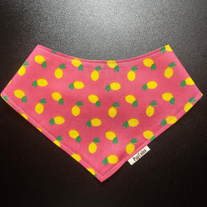 Lemons/Yellow Gingham #113