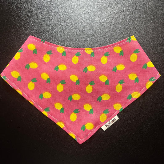 Lemons/Yellow Gingham #113