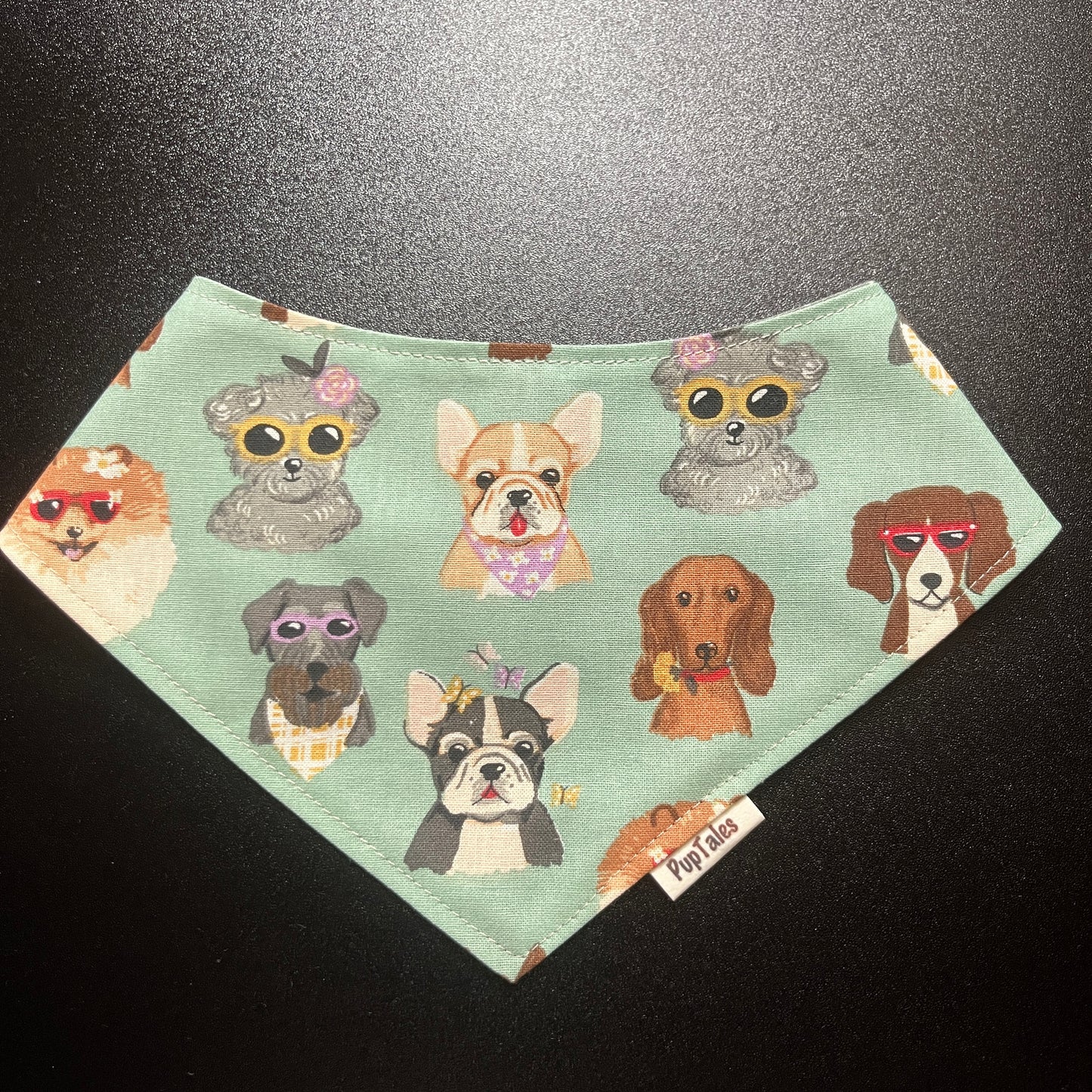 Preppy Dog/Sage Green #116