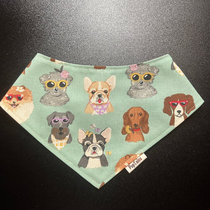 Preppy Dog/Sage Green #116