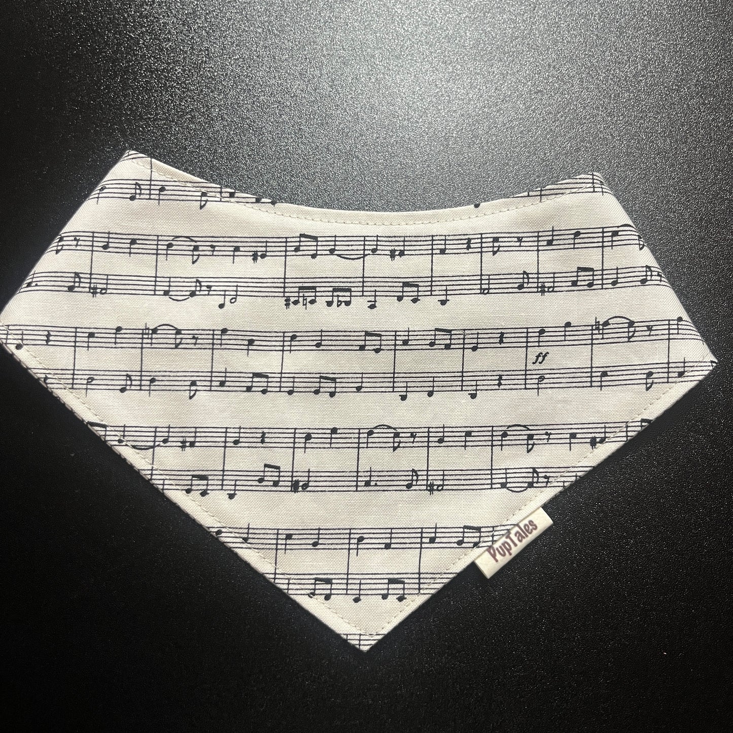 Music Notes/Lines #123