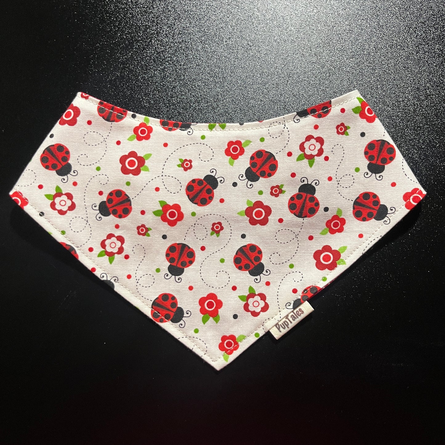 Ladybug/Red w Polkadot #129