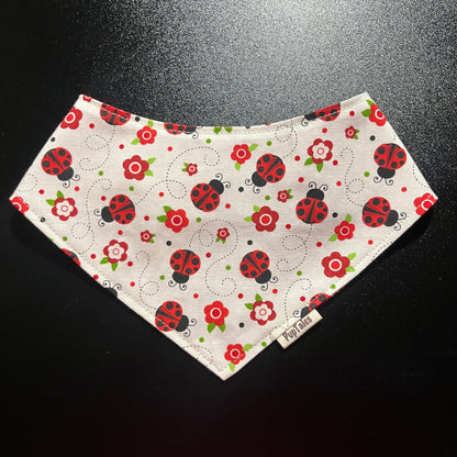 Ladybug/Red w Polkadot #129