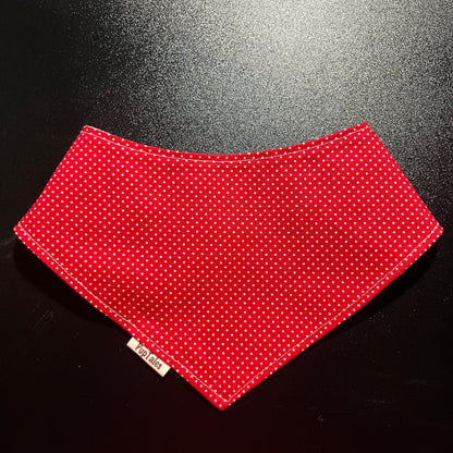 Ladybug/Red w Polkadot #129